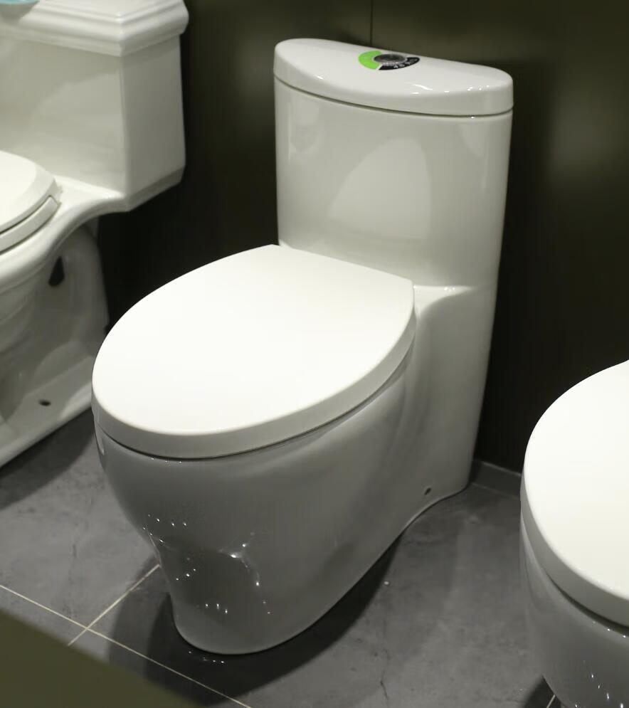 科勒k-3869t-se-0k-4165t-se-0水漾连体座便器马桶 k-3869t-se-0 305