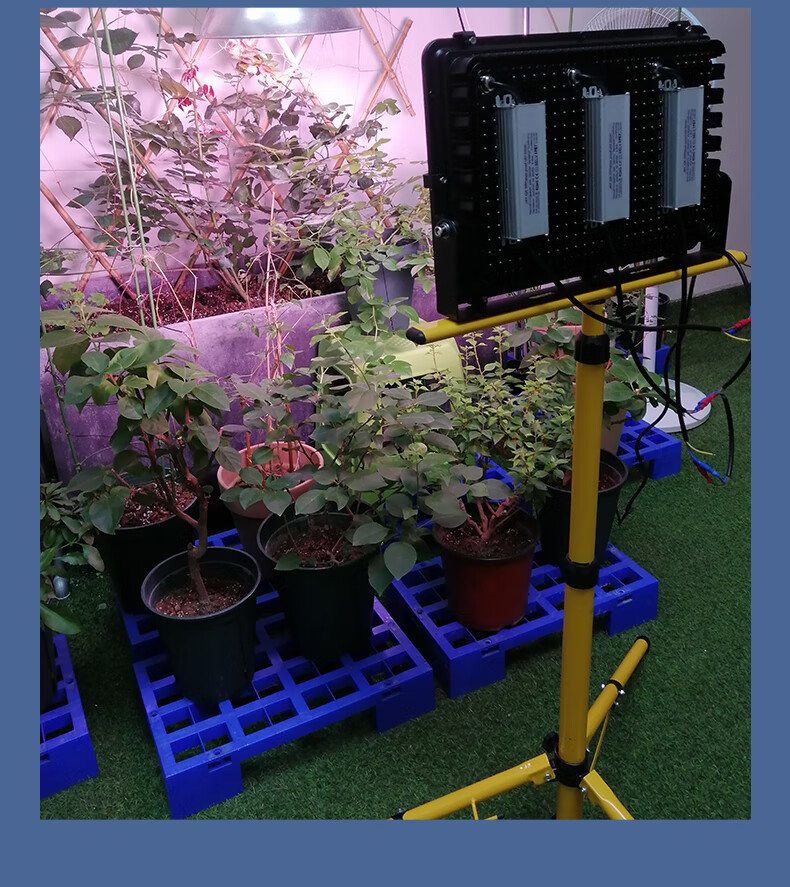 丹顿植物灯生长灯led全光谱光合作用蔬菜花卉大棚育苗水草多肉补光灯