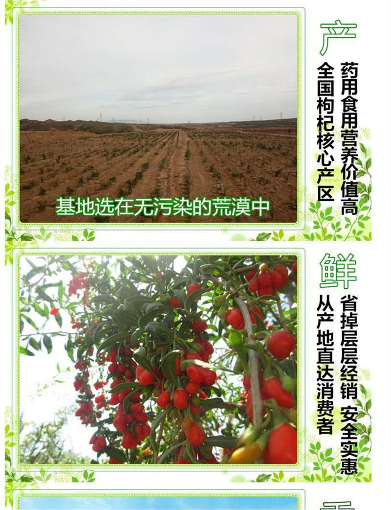 106068-新枸杞小袋装宁夏中宁枸杞子100g-250g-500g小包装 头茬枸杞250克(10克*25袋)-详情图