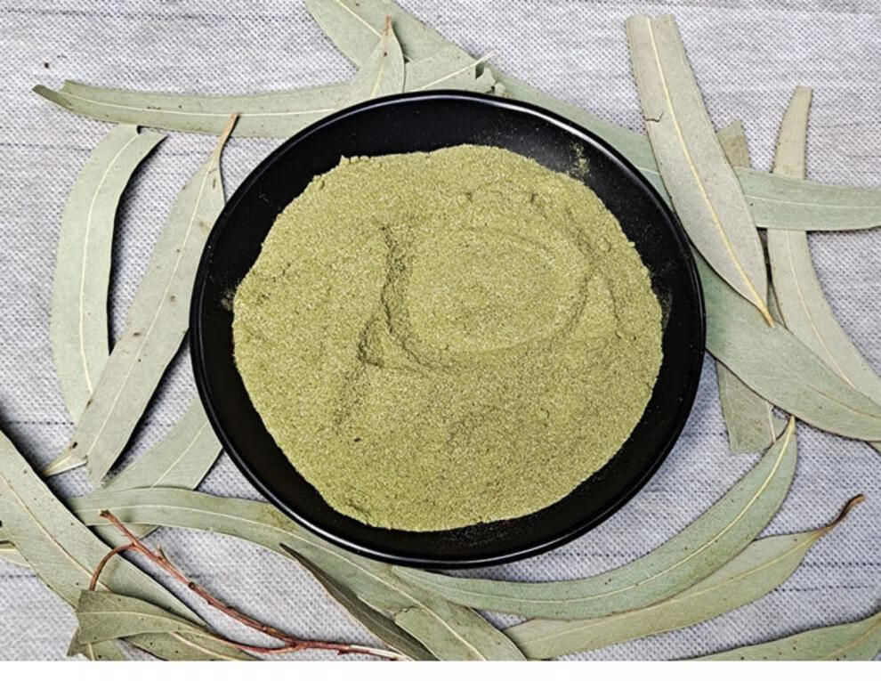 桉树叶粉500g现磨纯桉叶粉中药材小桉树大叶按树叶粉尤加利叶子