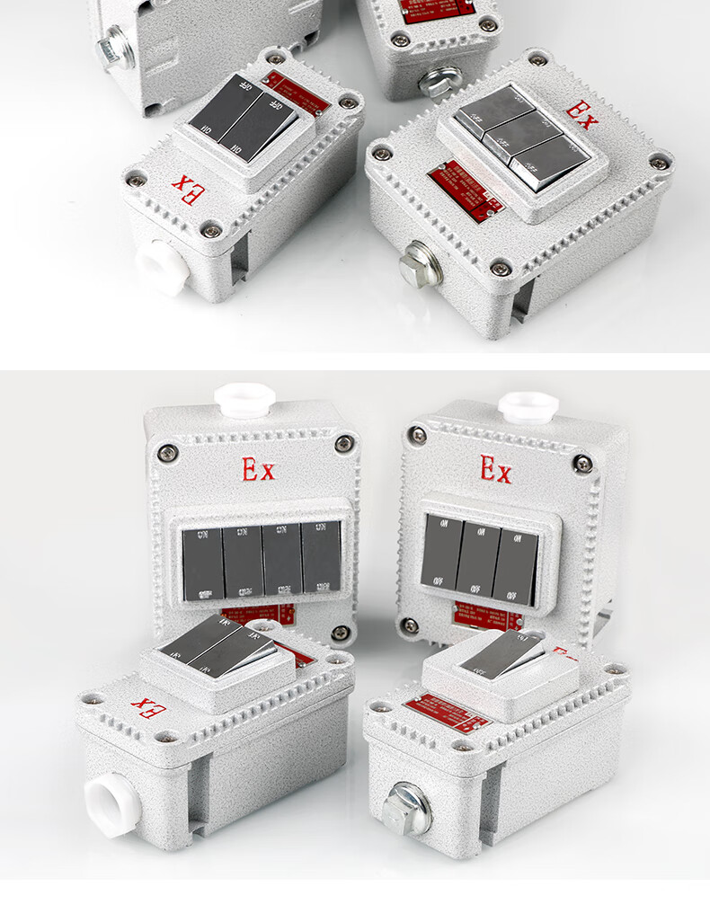 防爆开关220v防爆照明开关10a单开一开双开三四开工业防水86型防爆墙