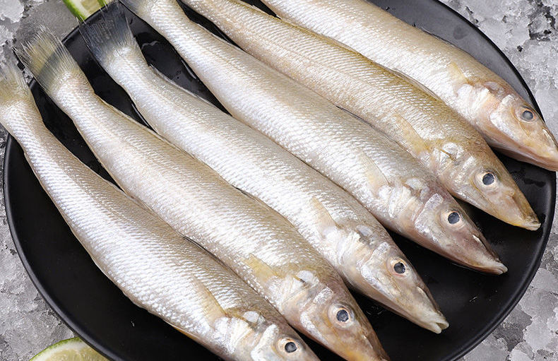 新鲜沙丁鱼海捕冷冻海鲜超大整条鲜活鱼水产腾旺纳跃小号4斤净重约92