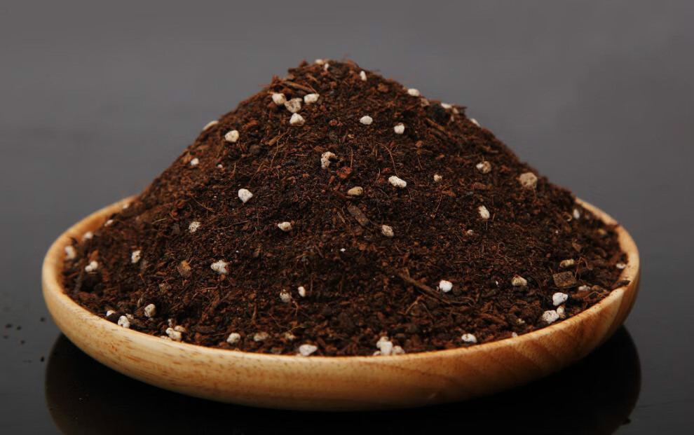 营养土花卉营养土栽花土花卉草木花草土 通用型营养土5斤【图片 价格