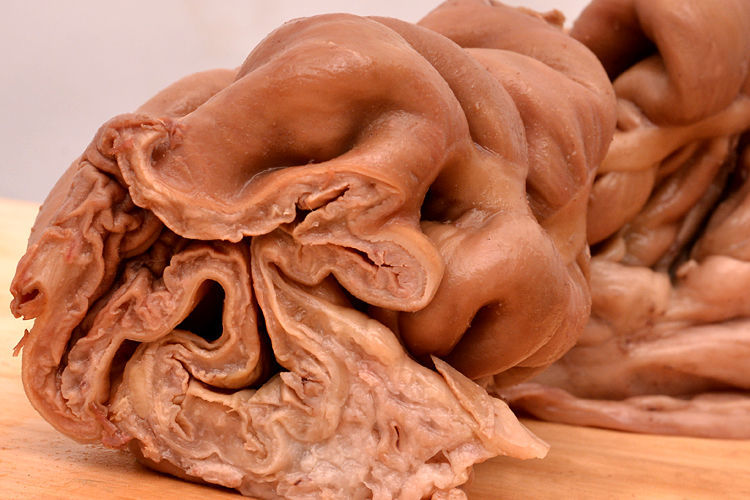 驴肉熟食河北特产驴板肠农家散养美味真空包装开袋即食五香一斤普快