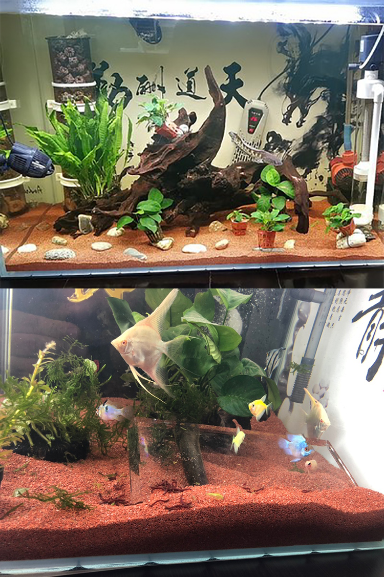 南美造景鱼缸底沙热带雨林沙沙大矶沙溪流砂鼠鱼雷龙沙化妆沙 中国红