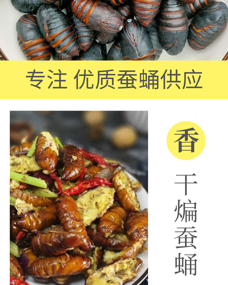 好伙伴食品专营店商品编号:10040385507119商品名称:鲜活柞黑蚕蛹黄