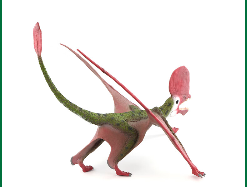 英国collecta我你他史前侏罗纪恐龙模型玩具88886空枝翼龙2020款12空