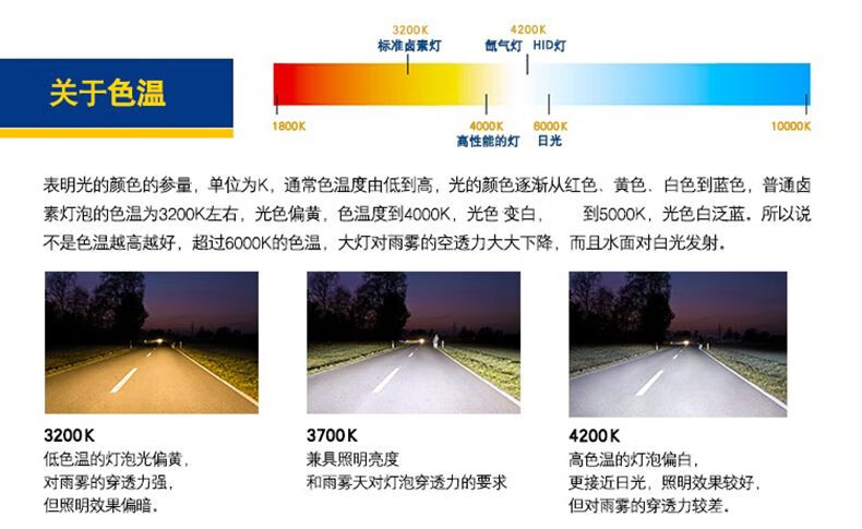 0026d946c85c1ca4.jpg