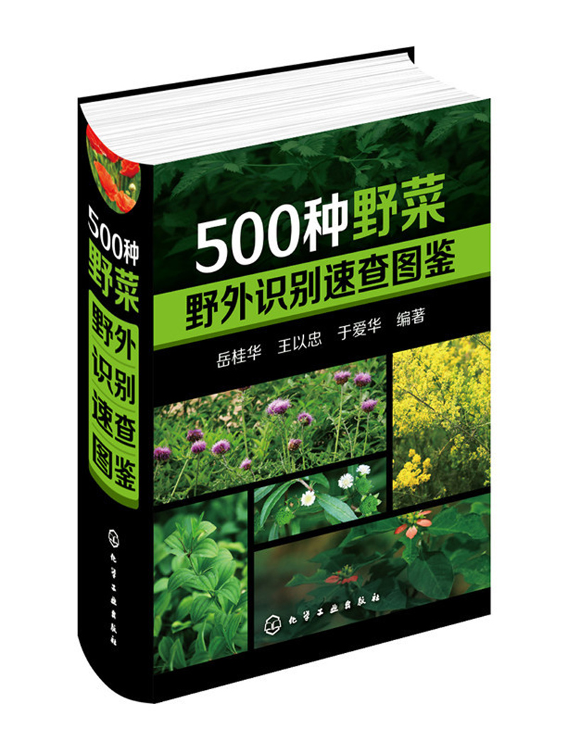 500种野菜野外识别速查图鉴 荒野求生 探险 郊游b备书籍 中医草药材