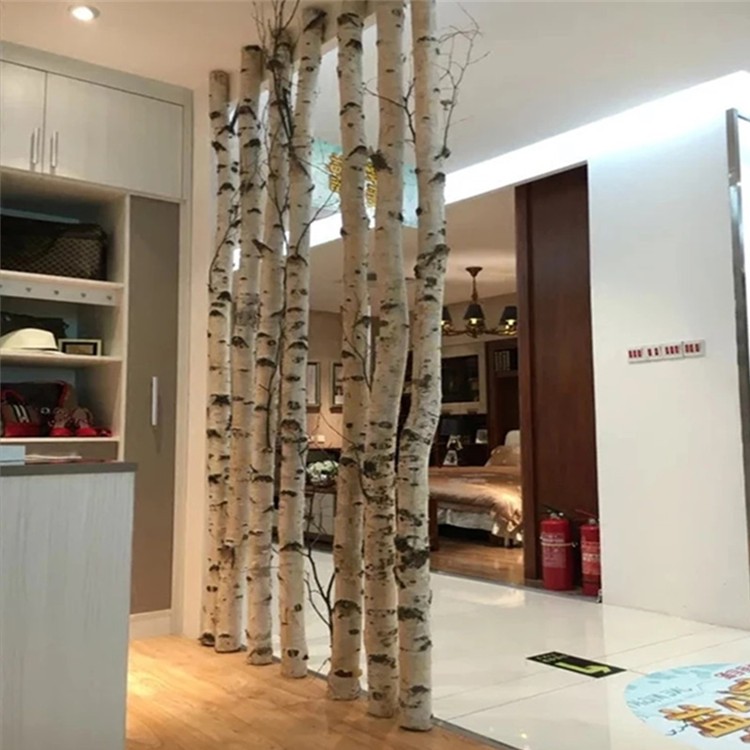 【新品】白桦木树干天然原木树装饰树段树枝树杈枯橱窗隔断婚礼 树