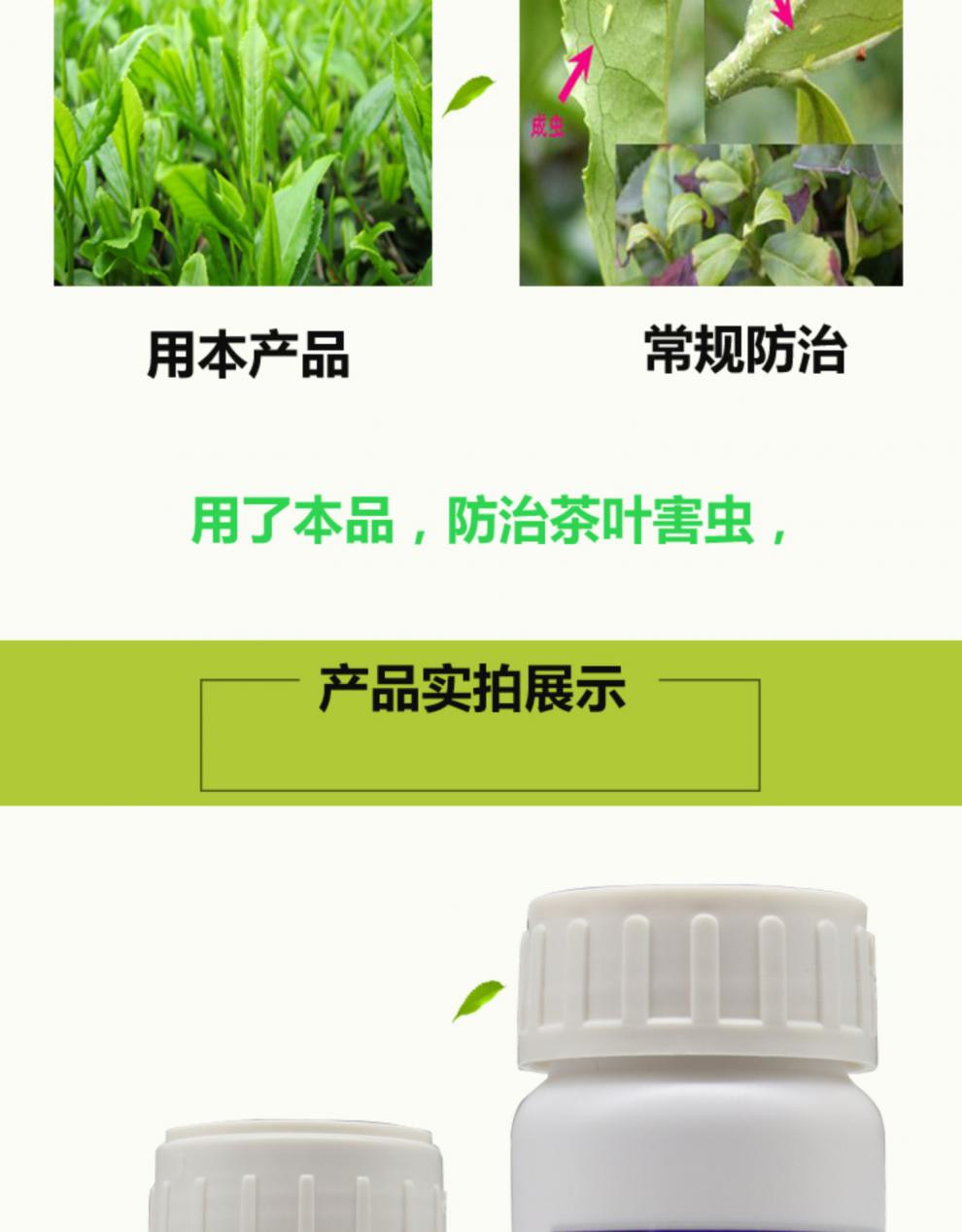 沃德伊诺甲龙437甲维盐丁醚脲茶叶茶小绿叶蝉小菜蛾茶毛虫农药杀虫剂