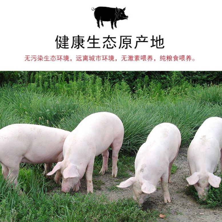 新店七天沂蒙山新鲜黑白土猪黑肉猪五花肉猪前腿肉后