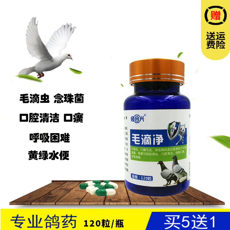 鸽子药鸽药胶囊型信鸽毛滴虫球虫二合一口黄绿便鸟类口腔清洁大全