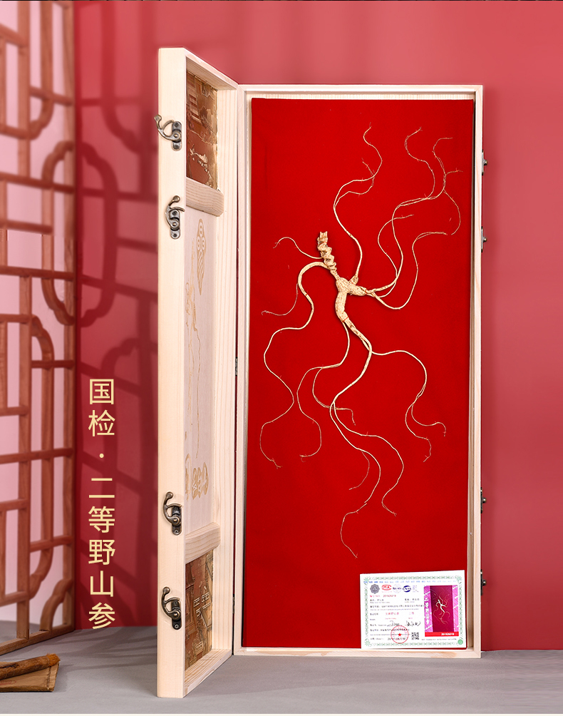 国检野山参长白山人参一等参礼盒装林下参30年东北生晒老山参送礼