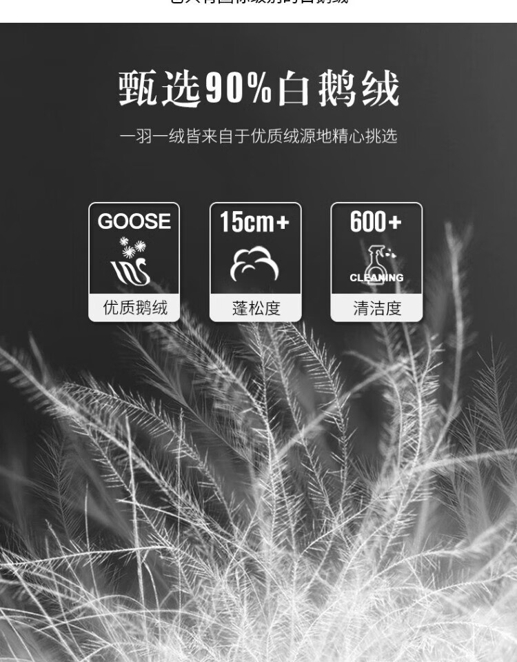 239c09f5373a51ef.jpg