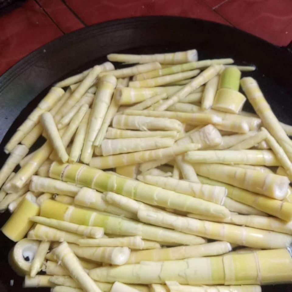 正宗苦笋客家特产广西新鲜现摘苦竹笋甘凉笋10斤去壳过热水