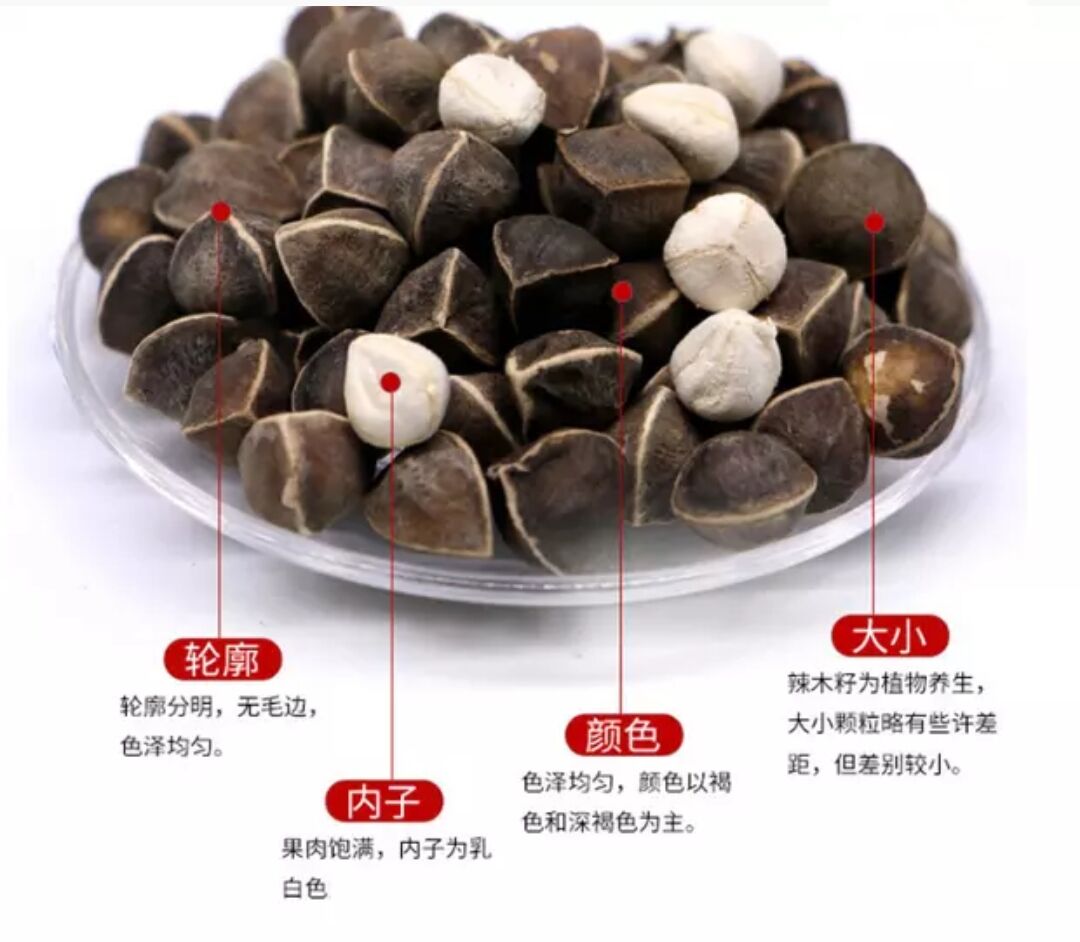 北京同仁堂原料云南文山辣木籽野生食用辣木籽特级500g大颗粒辣木籽大