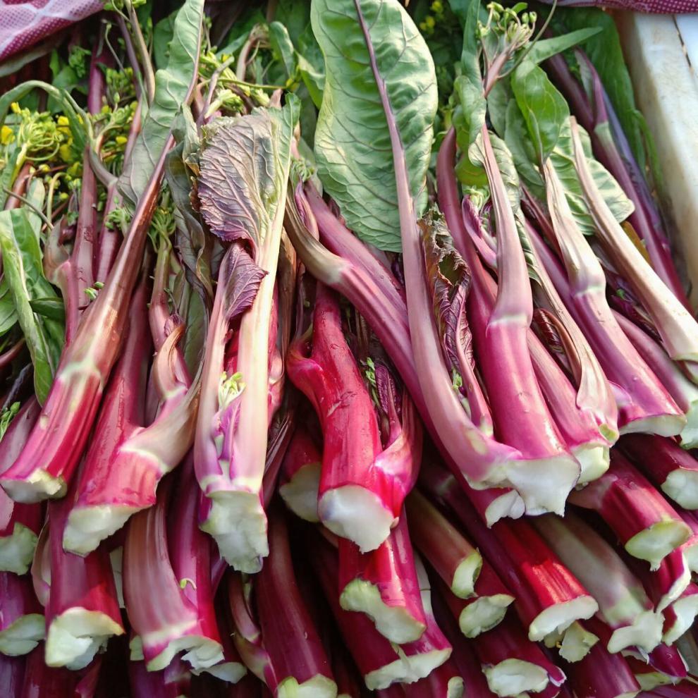 轻恋【新品红梗菜】湖北特产新鲜蔬菜红菜苔 菜苔