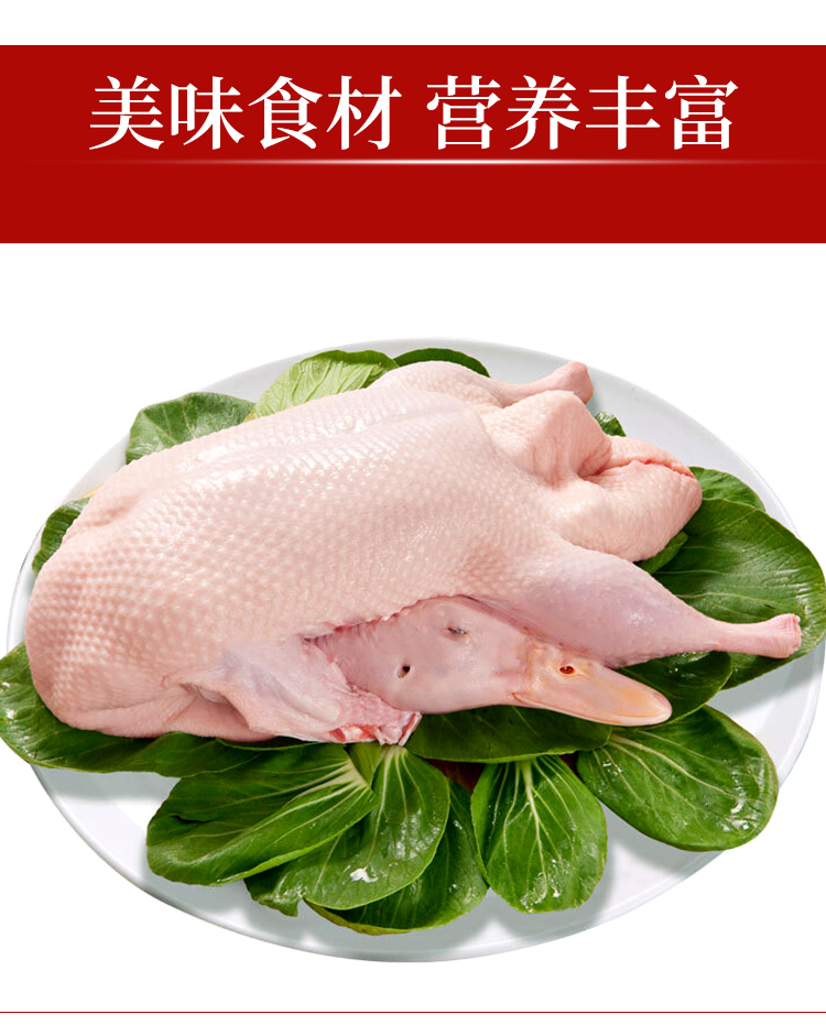 冷冻白条鸭樱桃谷瘦肉型新鲜鸭肉整鸭子一箱10只27斤江浙沪皖 斤江浙