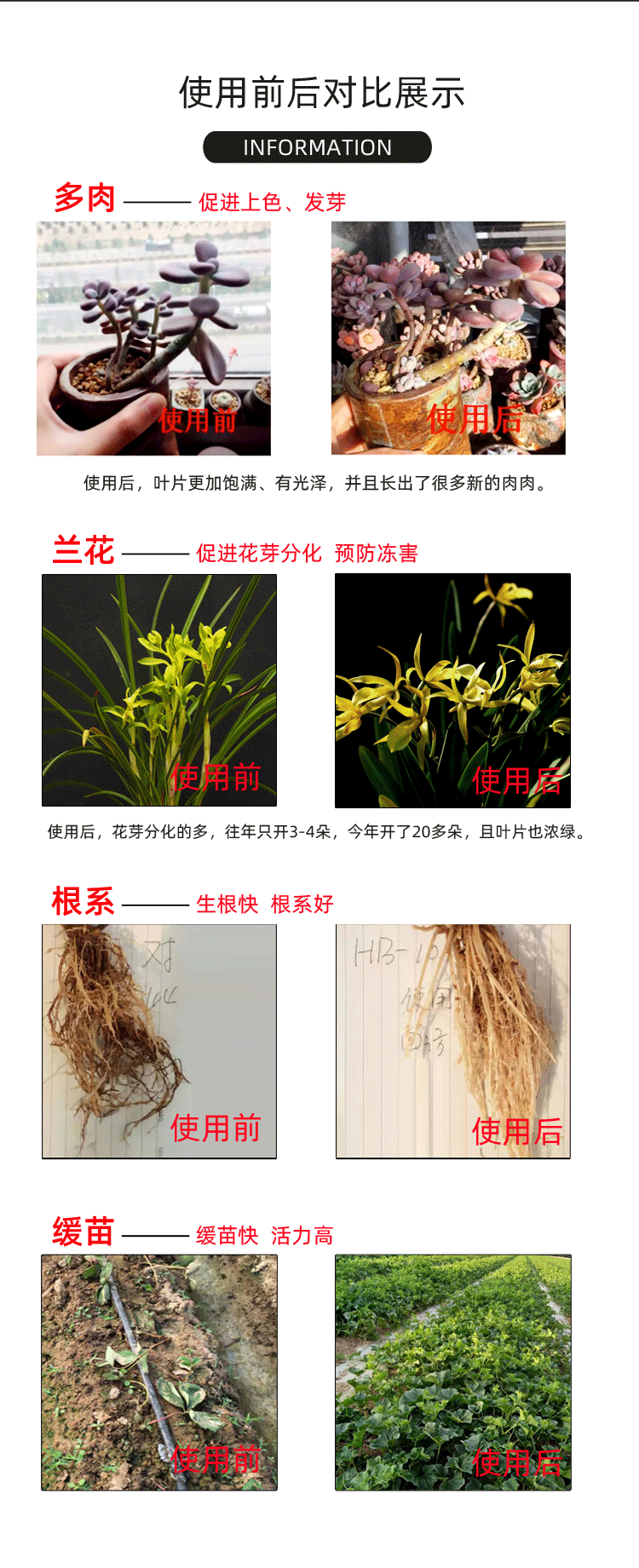 101植物活力素用法图片