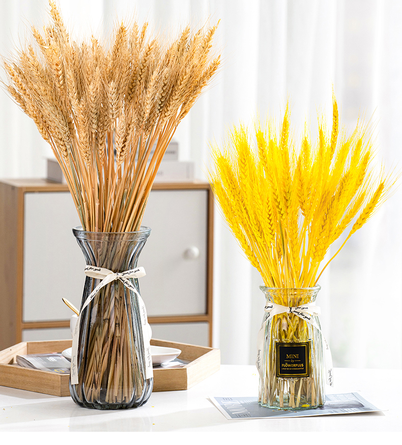 创意透明玻璃花瓶天然麦穗干花插花瓶网红客厅摆件装饰拍摄道具15新诺