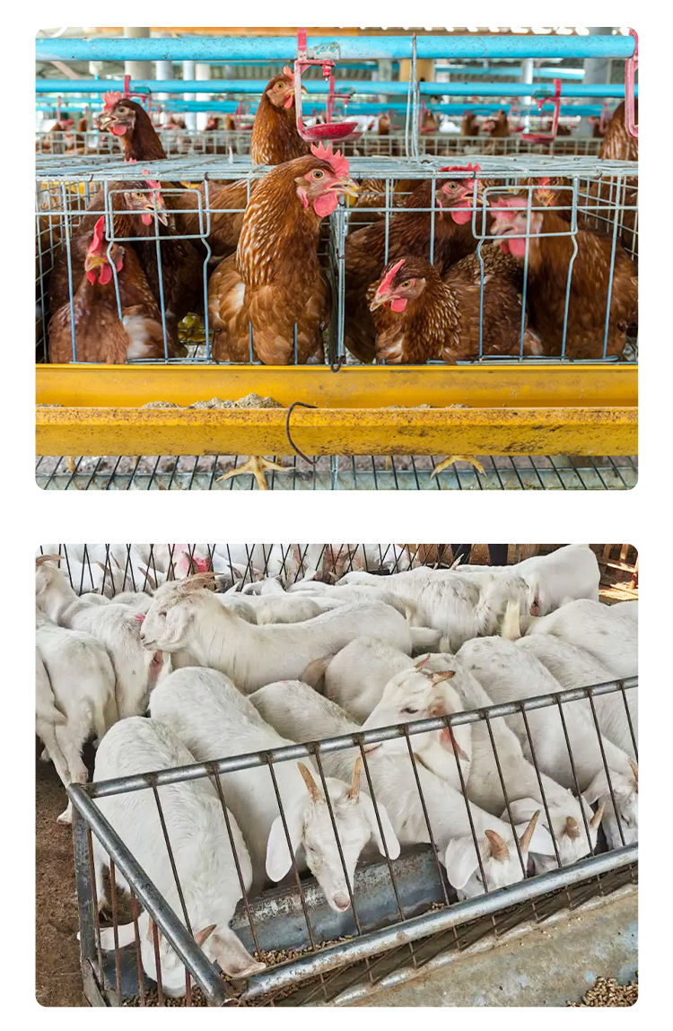 痢菌净98乙酰甲喹粉利菌净猪药鸡药水产药肠道拉稀止痢腹泻兽药一公斤