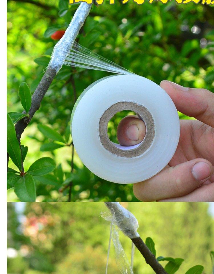 糯米纸胶带嫁接带芽接免拆自然花卉 3厘米宽嫁接膜(二十卷)-dprh