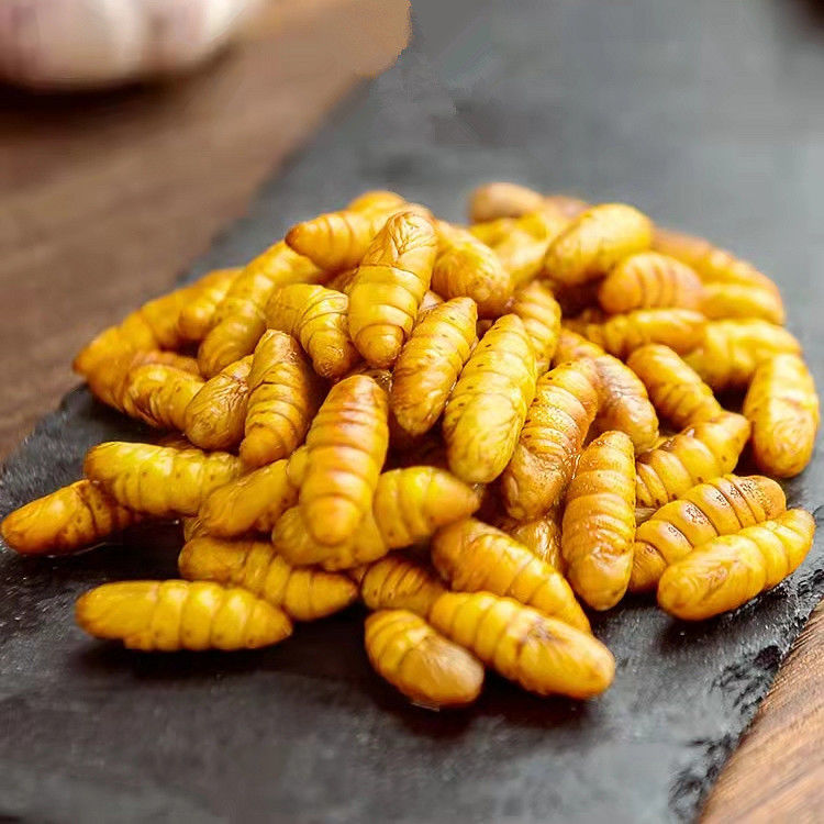 金丝蚕蛹新鲜鲜活蚕蛹下酒菜活体速冻高蛋白山东特产茧蛹子非即食买2