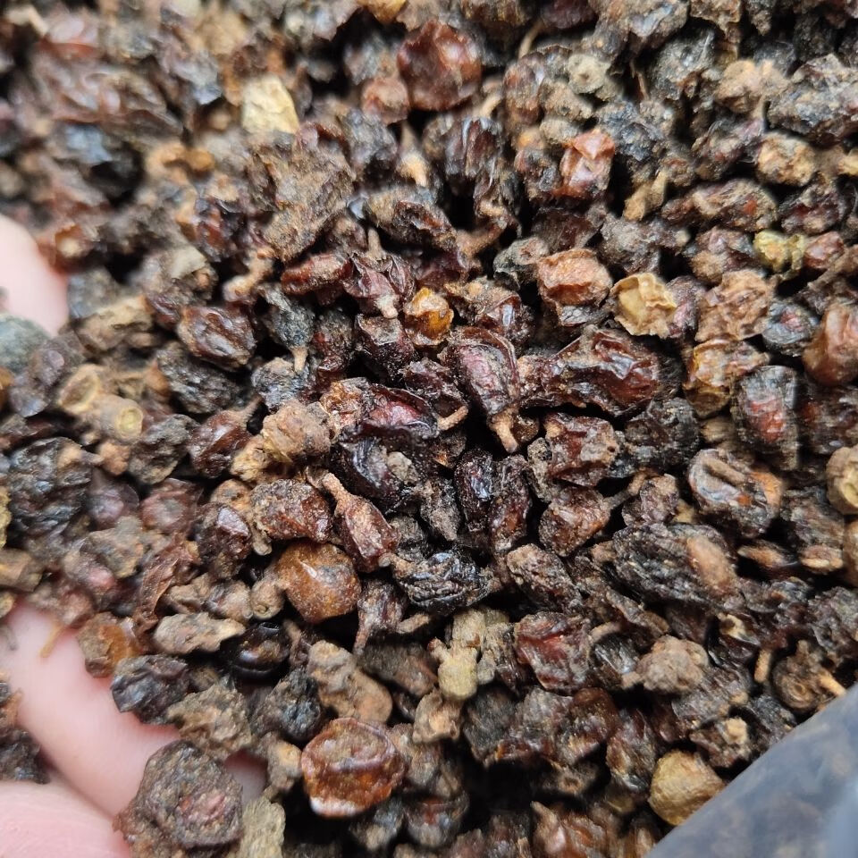 上用 官方旗舰250克 官方旗舰沙棘果【图片 价格 品牌 报价】