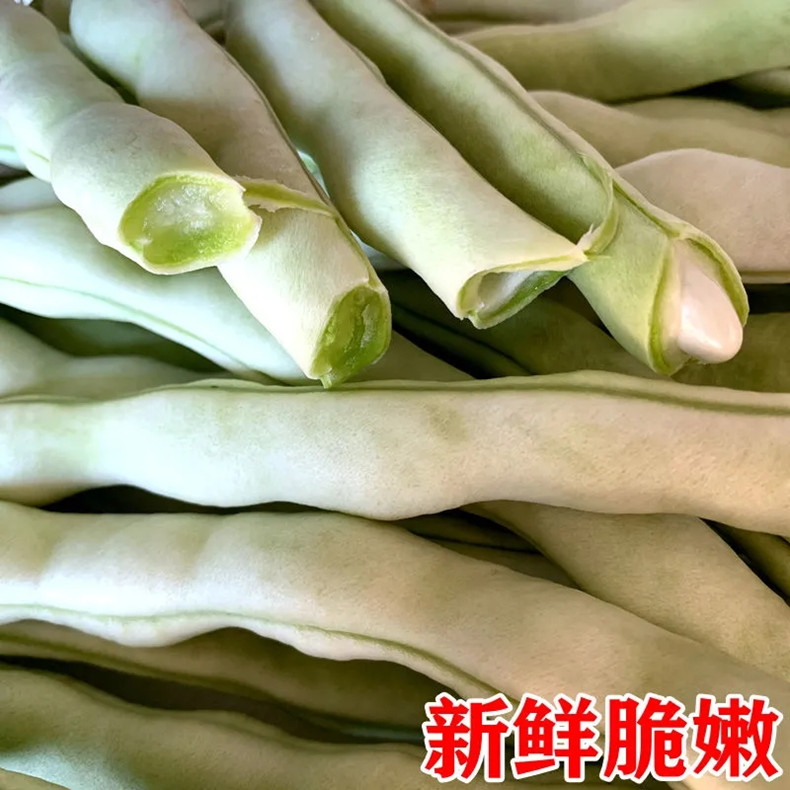 白豆角白架豆白大架白不老东北农家扁豆新鲜蔬菜15斤2500g
