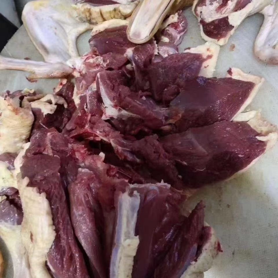 五折大雁整只查干湖周边农家散养大雁冷速冻新鲜510斤整只雁肉大雁鹅