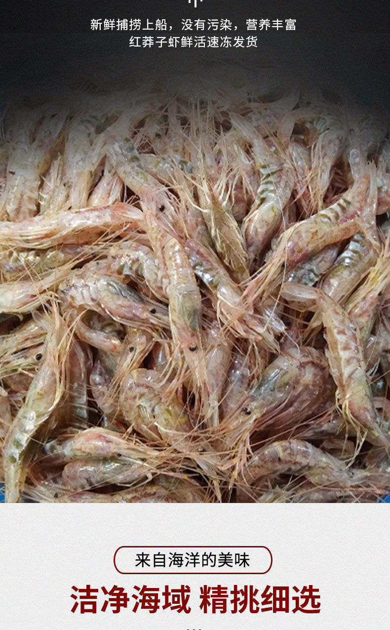 鲜蒜紫皮大蒜头腌制糖蒜醋蒜干蒜 新鲜红莽子虾9两 无冰无水3盒装