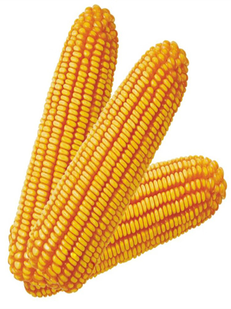 4cf8e0cb76c77727.jpg