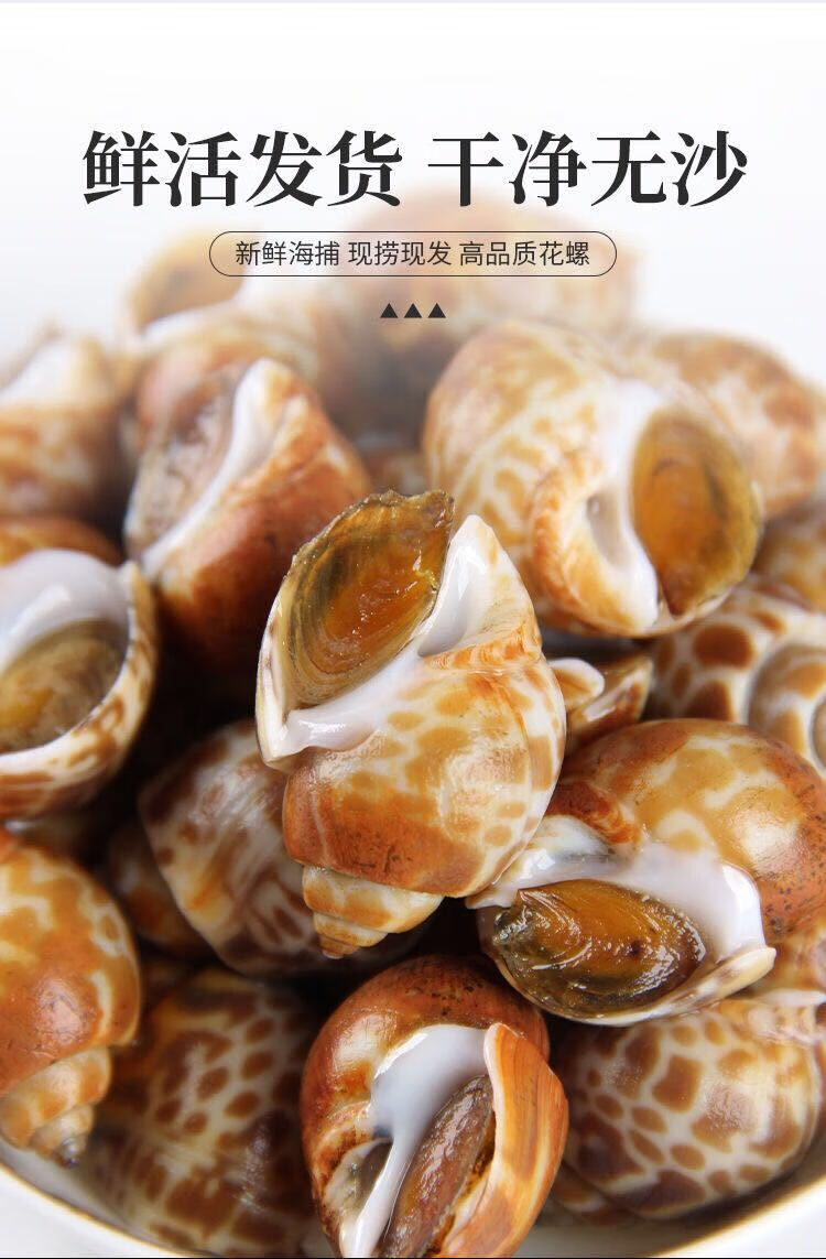 鲜活冷冻花螺大海螺贝壳香螺水产海鲜新鲜花螺小海螺姬美食尚1斤试吃