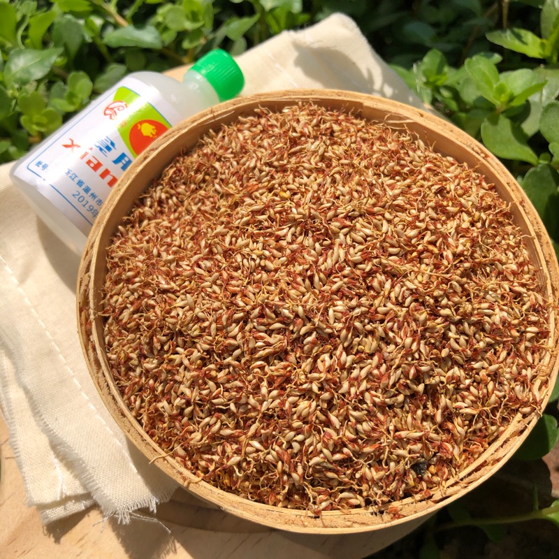 木莲籽木莲豆腐籽浙江诸暨特产木莲子薜荔冰粉籽250g爱玉子籽