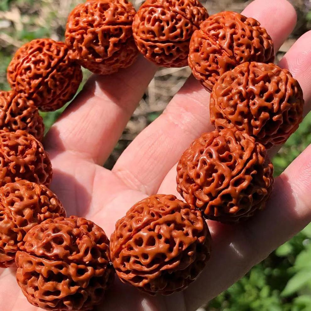 伴生福大金刚菩提手串 半包浆男士金刚菩提籽7七八九瓣金刚佛珠文玩