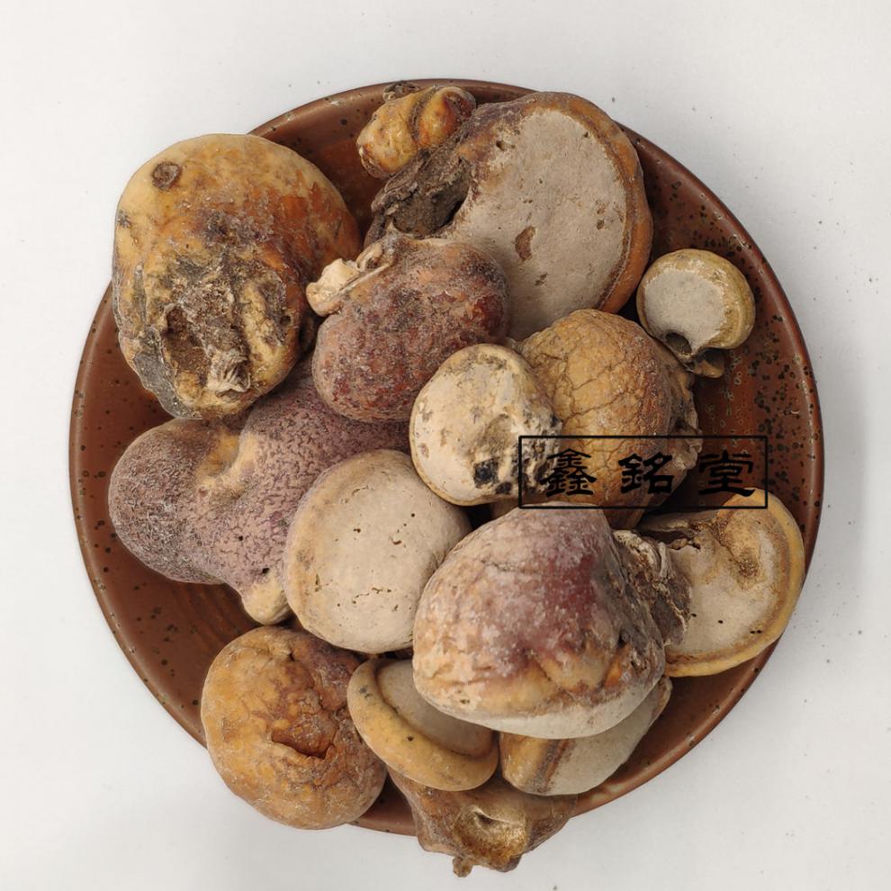 须元果 耶野生香豆隐孔菌 树荷包 松橄榄 耶香豆 耶香豆100克【图片