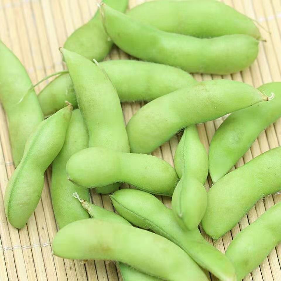 【新鲜发货】新鲜嫩毛豆3/5斤带壳生毛豆角现摘青大豆当季蔬菜 毛豆角