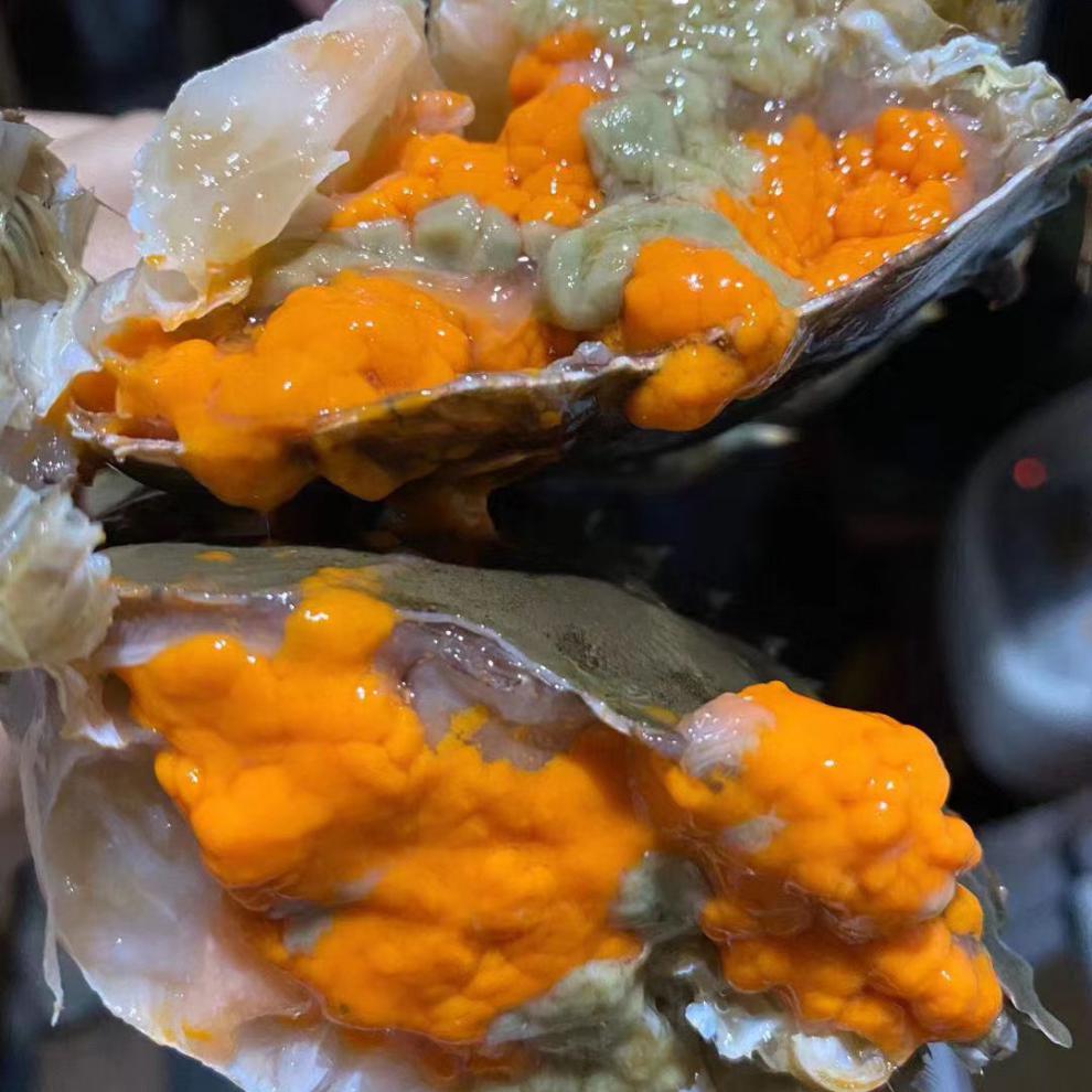 野生特大号包肥青蟹膏蟹鲜活1公1母蝤蛑羔肉蟹红鲟包活顺丰空运鲜木鲜