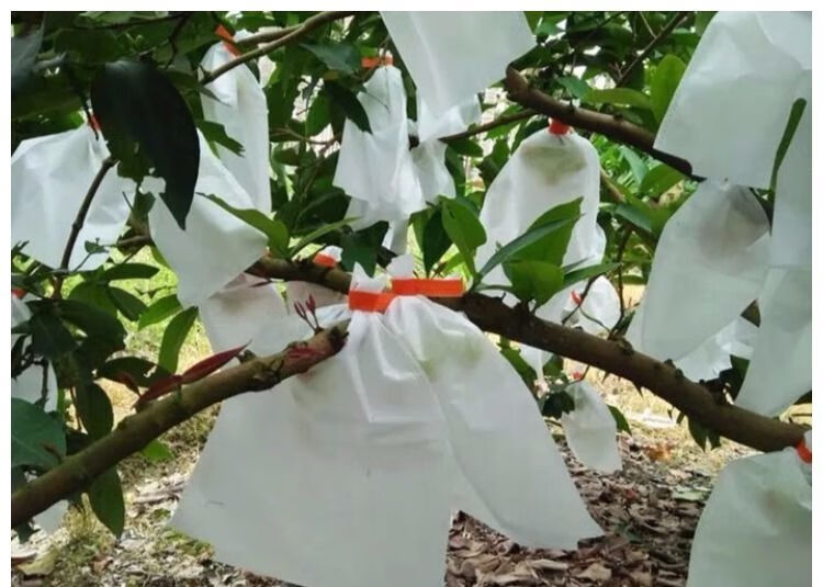 无纺布葡萄套袋水果套袋虫鸟水袋透气葡萄专用套袋莲雾套袋 黄色水果