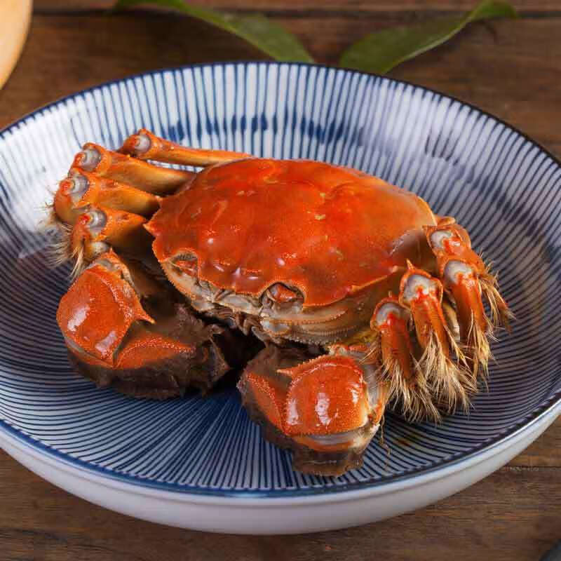特大螃蟹现货六月黄海鲜全公母蟹河蟹礼盒全母2722两8只