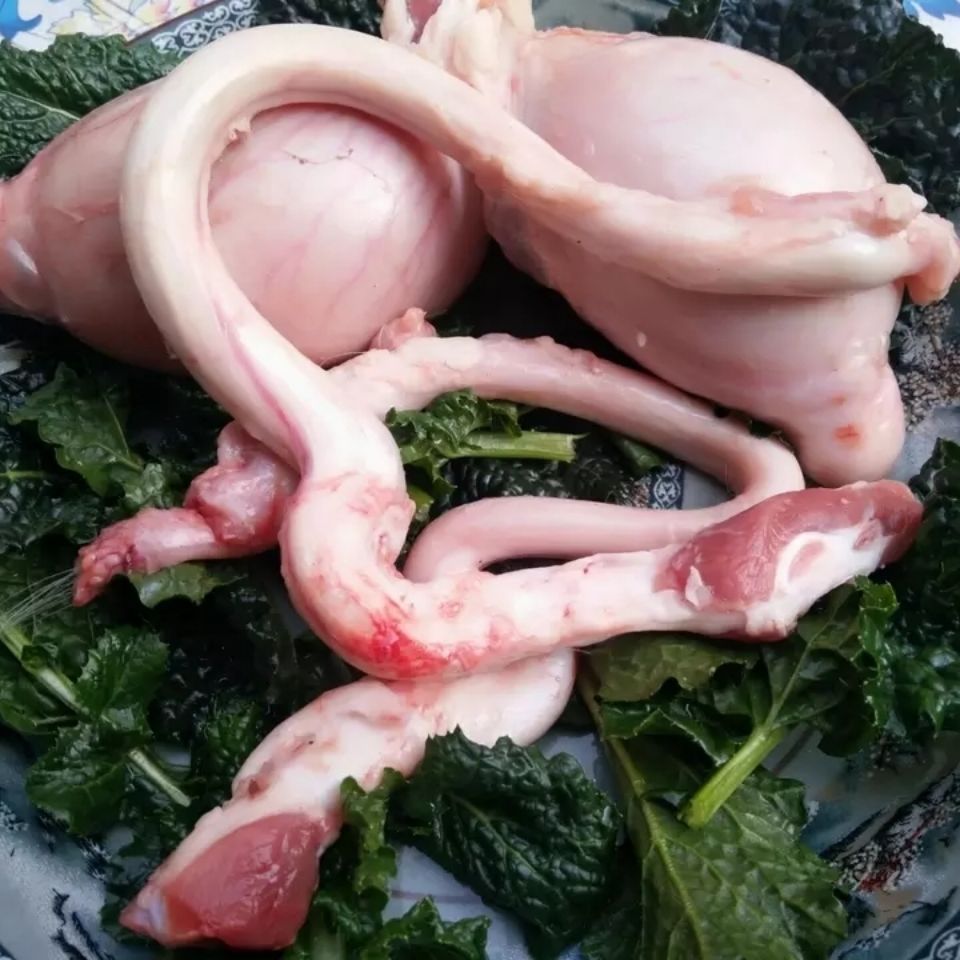 顺丰速运 羊宝 羊腰子 羊鞭 羊蛋 新鲜羊睾丸 当天现宰急冻锁住营养