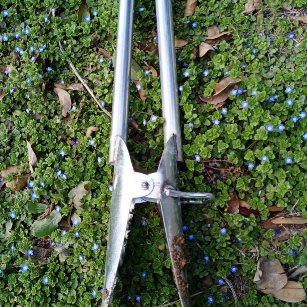 移苗器挖苗器打孔器打洞器种植器点播机移栽器取土器起苗器载苗器移苗