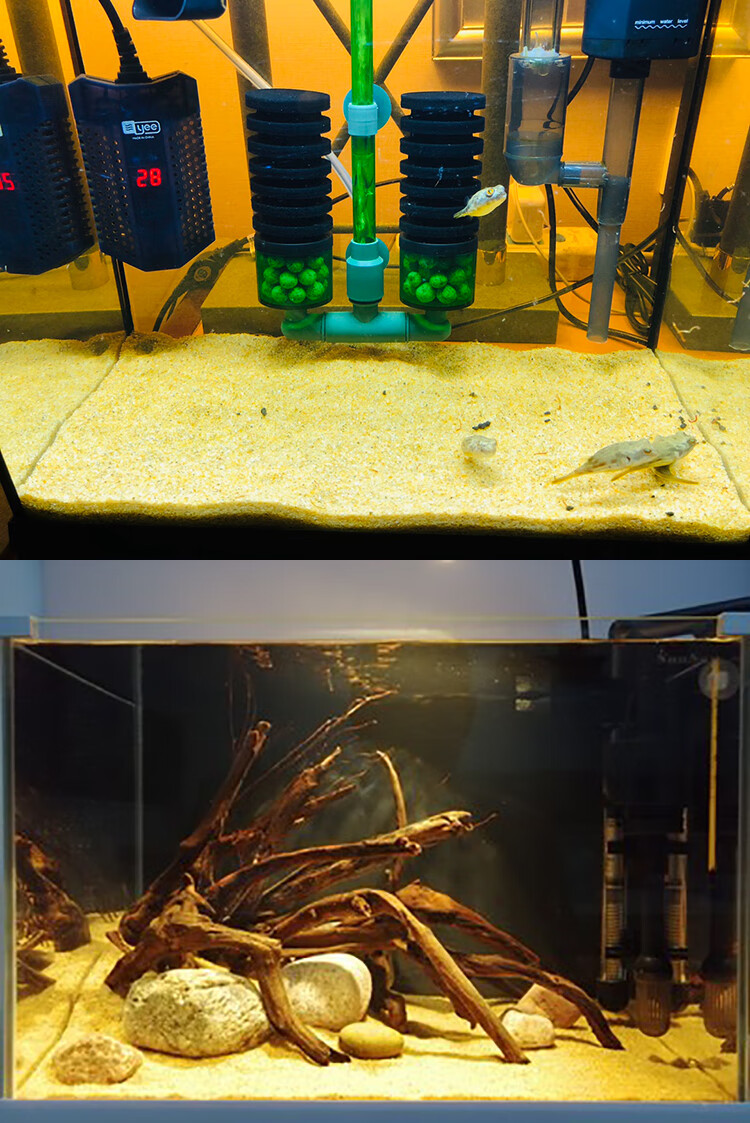 南美造景鱼缸底沙热带雨林沙沙大矶沙溪流砂鼠鱼雷龙沙化妆沙 中国红