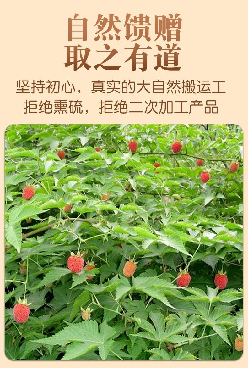 北草堂 覆盆子3罐(750g)【图片 价格 品牌 报价】-京东