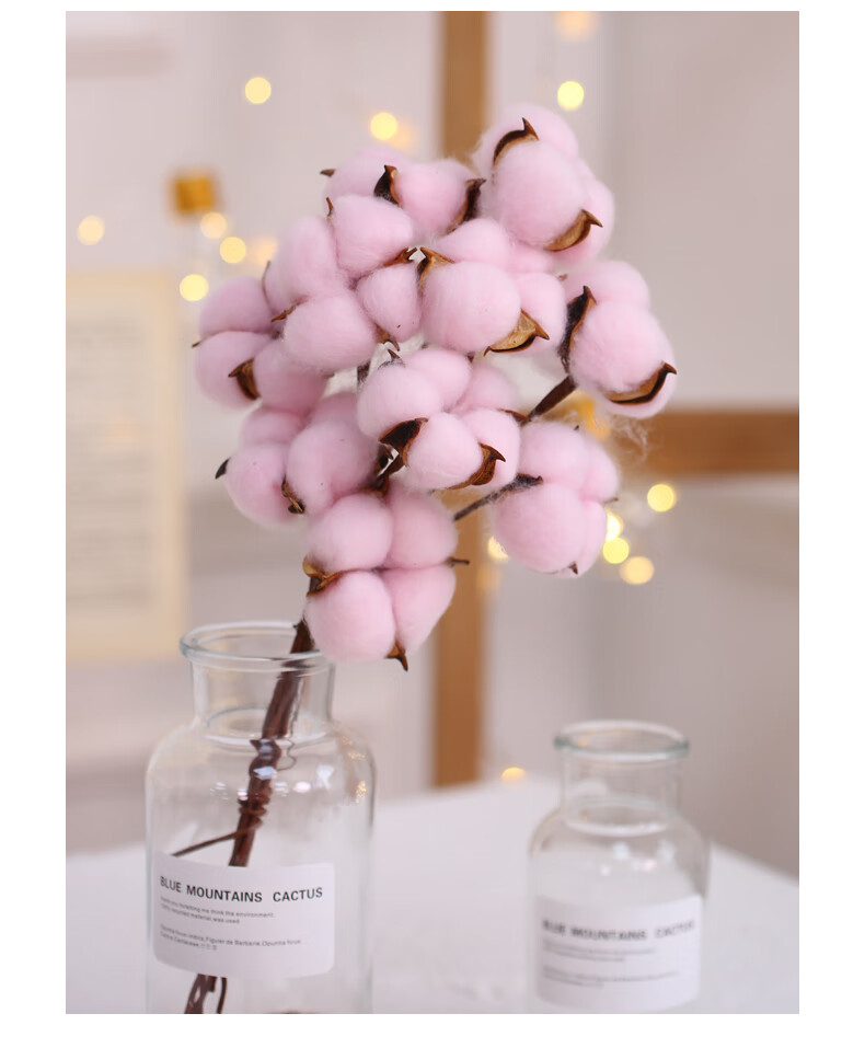 圣诞节装饰品ins永生花天然棉花家居插花客厅摆件圣诞树配饰用品棉花