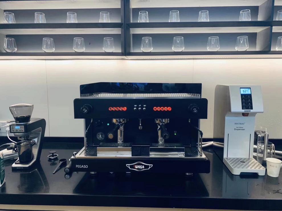 意大利进口wega pegaso毕加索商用意式咖啡机双头半自动e61弭黎 wega