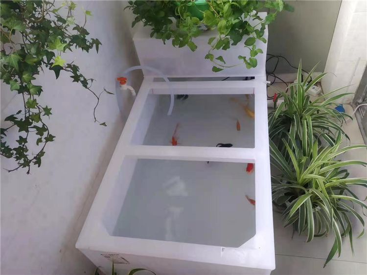 客厅阳台家用拉鱼大型鱼缸pp塑料水箱过滤盒水箱金鱼锦鲤池可订做