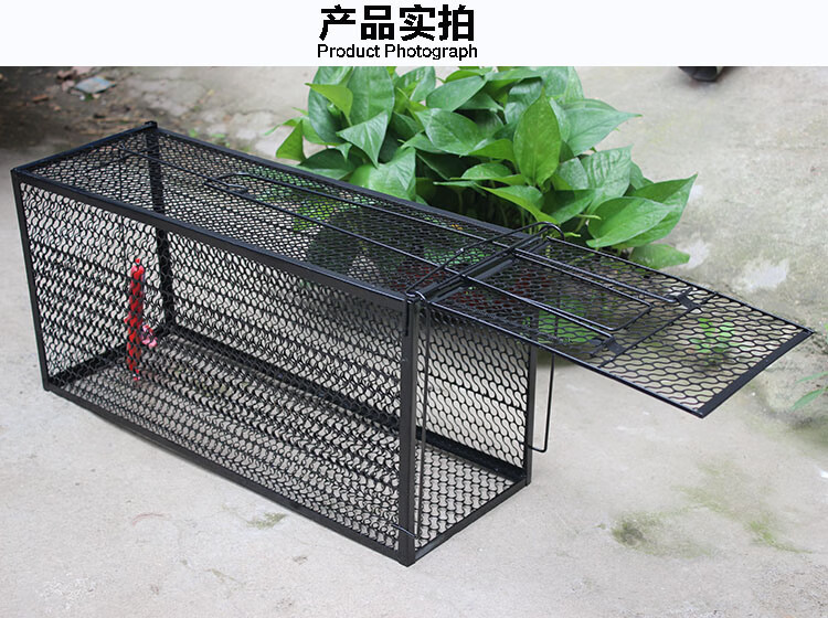 捕小猫笼子捕猫神器捕鼠器捕黑猫器捉小猫笼抓黑猫笼人道式救助抓了猫