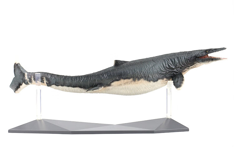 恐龙大王史前恐龙海洋玩具恐龙模型巨齿鲨龙王鲸鱼龙沧龙品质定制